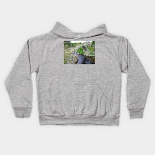 Carrbridge II Kids Hoodie